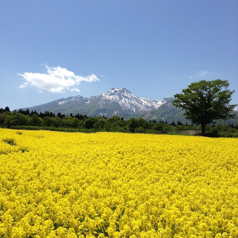 Hotel Alpen Blick Myōkō Exterior foto